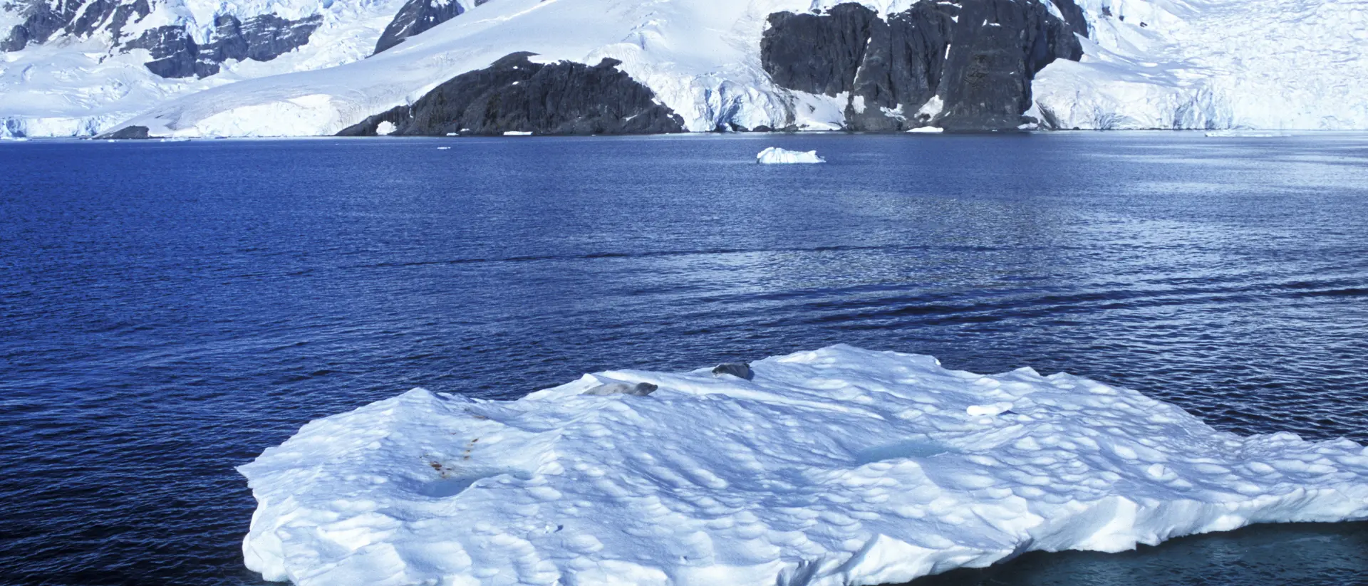 Snow and glacier covered peaks surrounding Antarctica bay