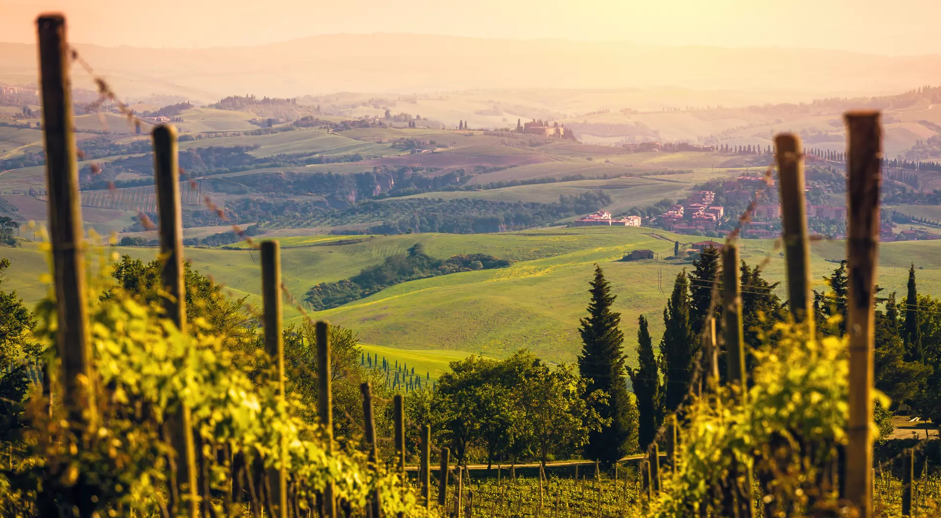 Beautiful landscape with vineyards in Tuscany