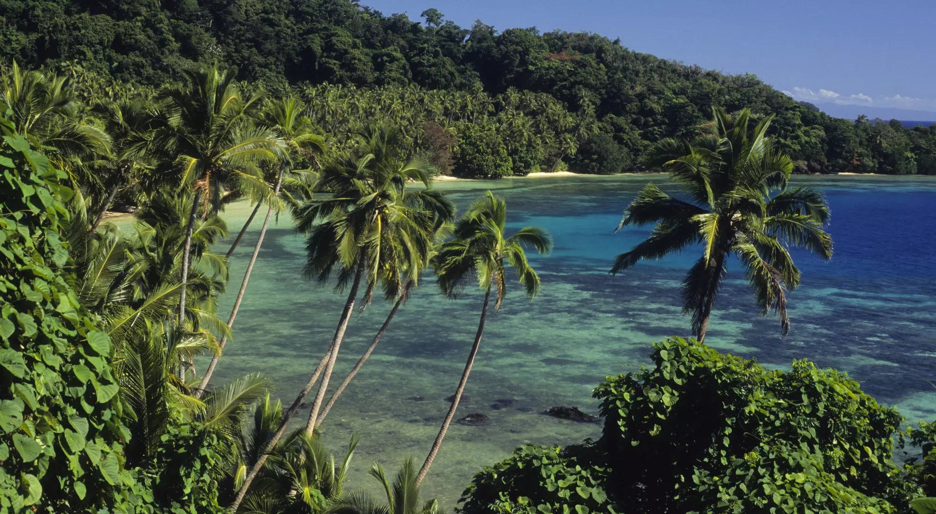 Island Beach scenic.