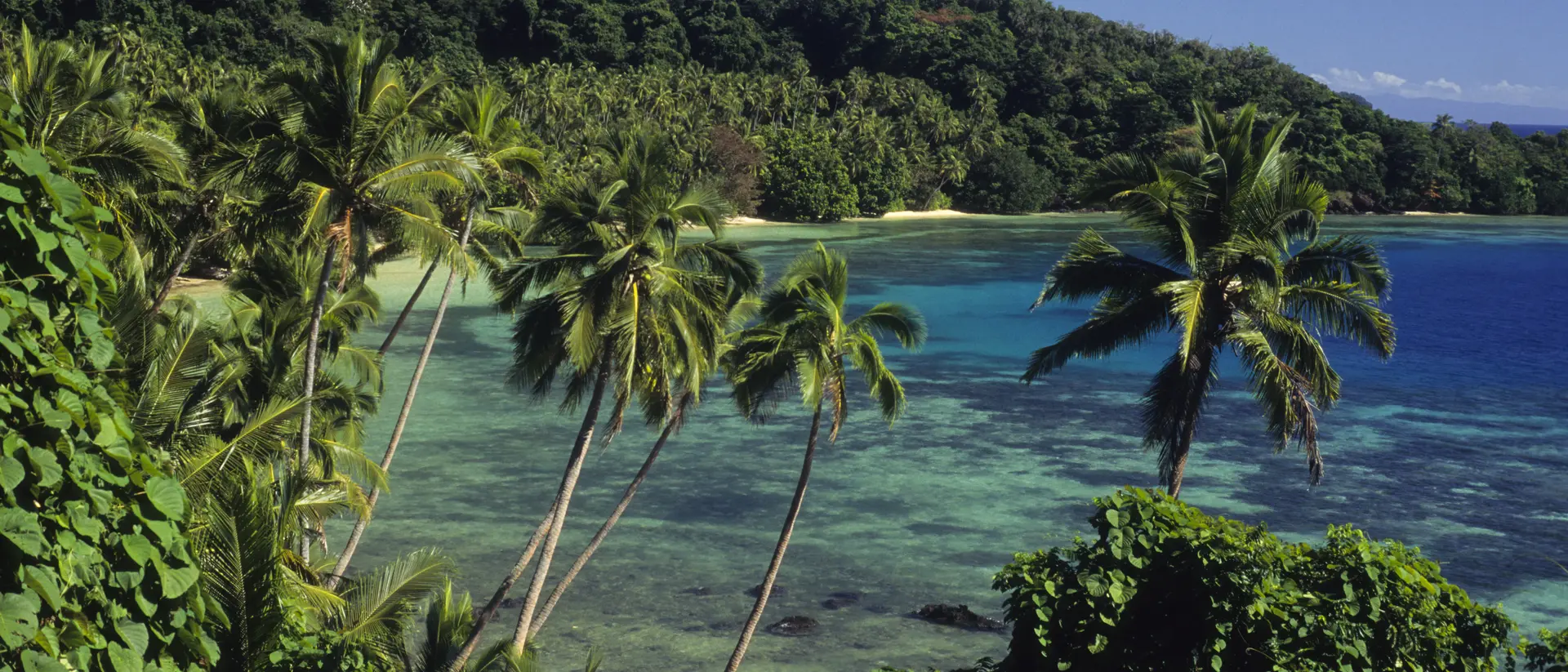 Island Beach scenic.