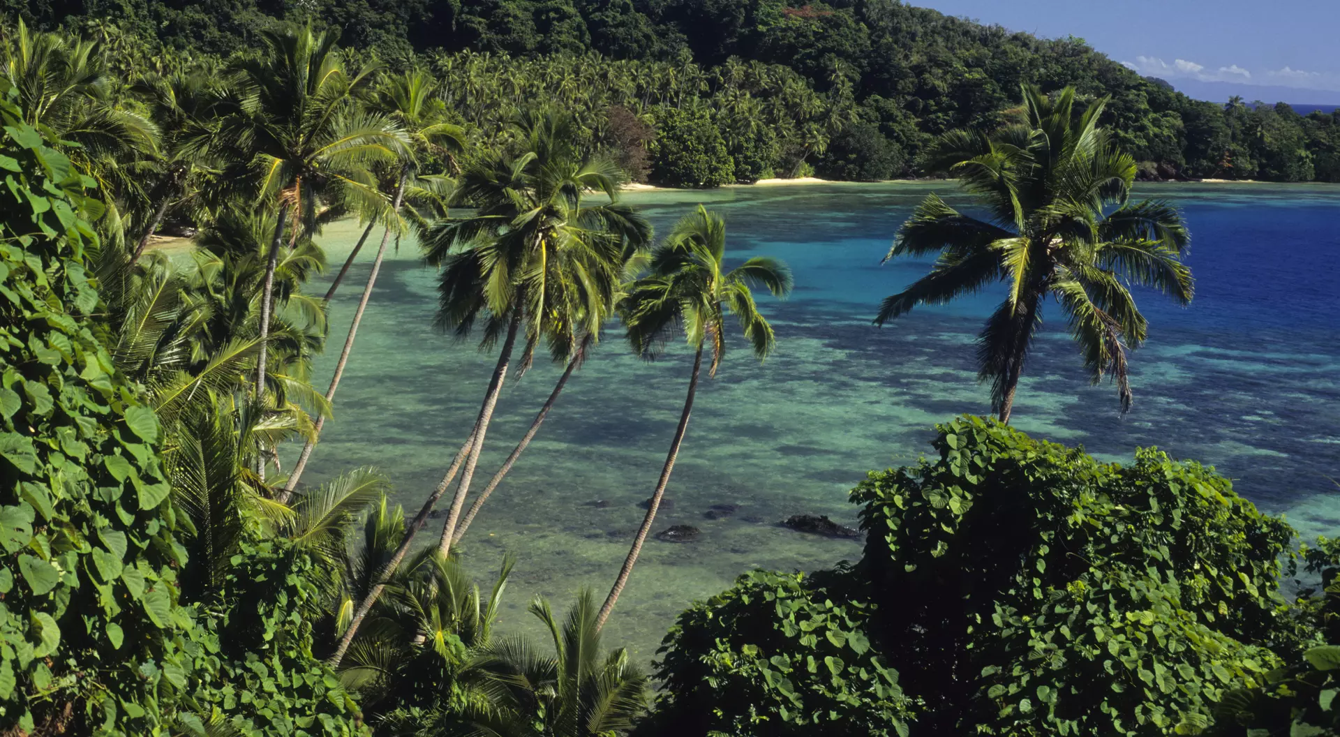 Island Beach scenic.