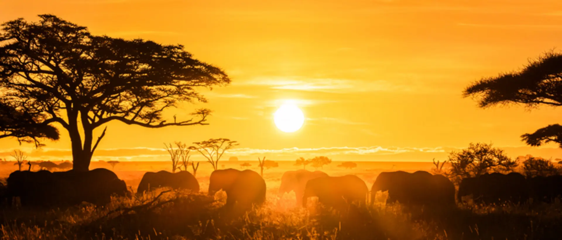 Masai Mara