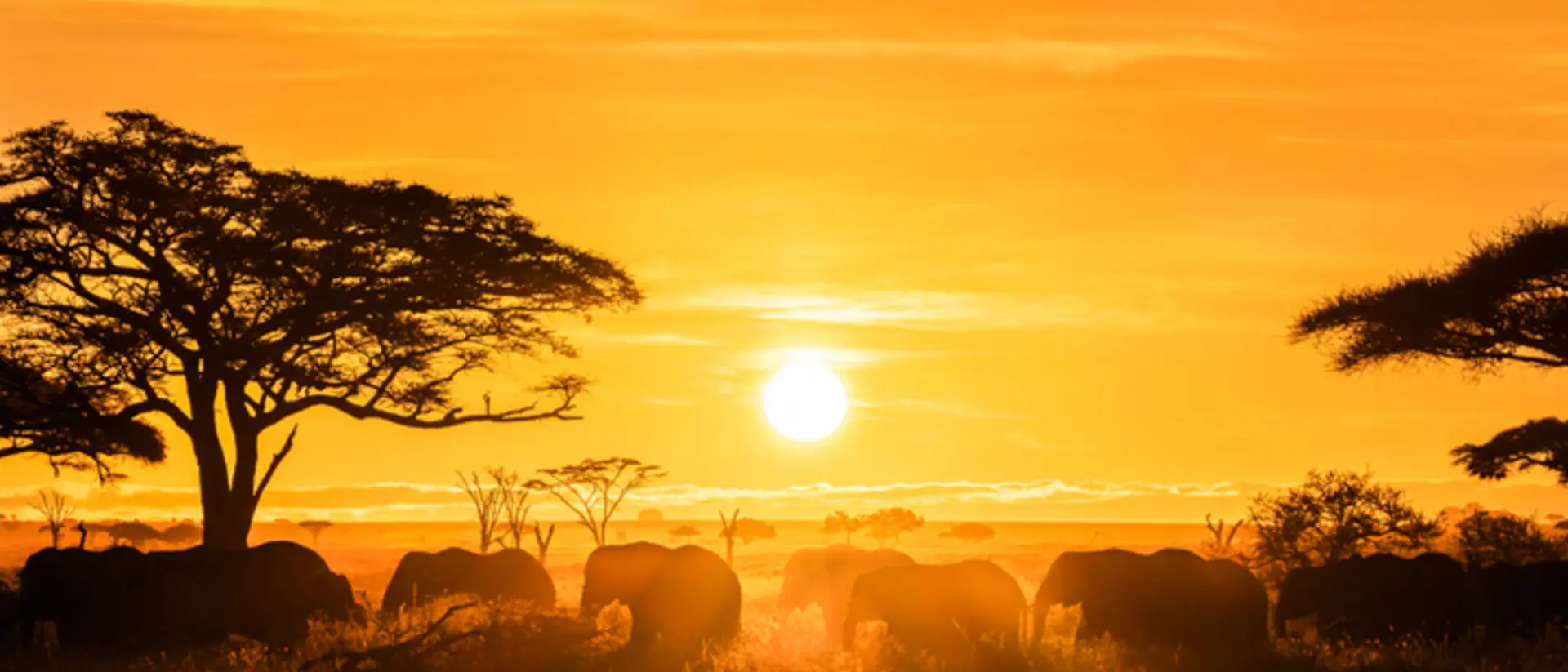 Masai Mara