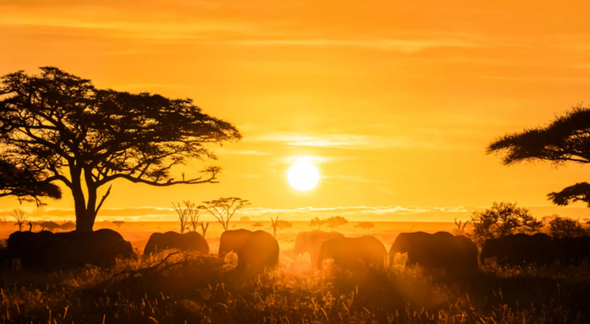 Masai Mara