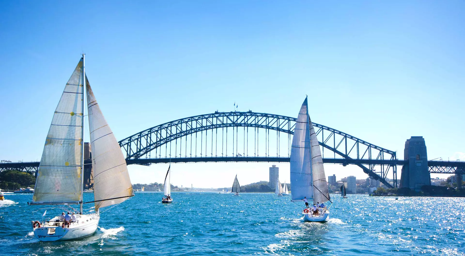 Sailboats on a sunny day at Sydney