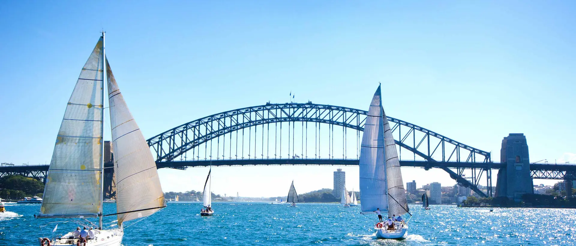 Sailboats on a sunny day at Sydney