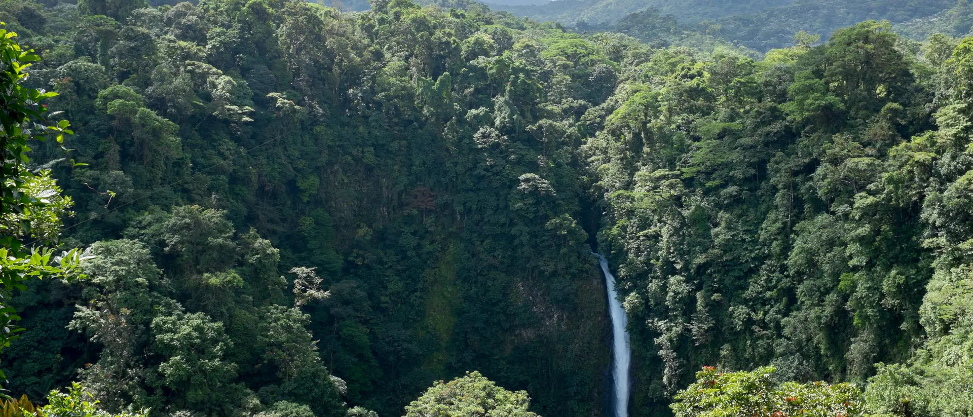 San Luis Waterfall in Monteverde