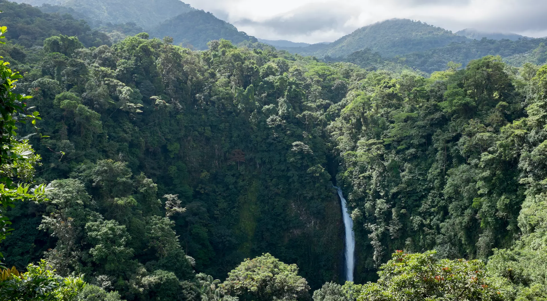San Luis Waterfall in Monteverde