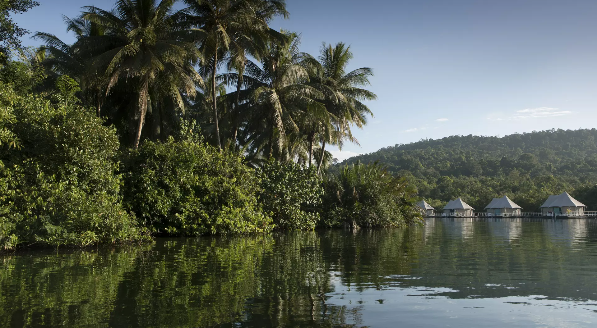 Lush riverside jungle in Koh Kong, Cambodia.