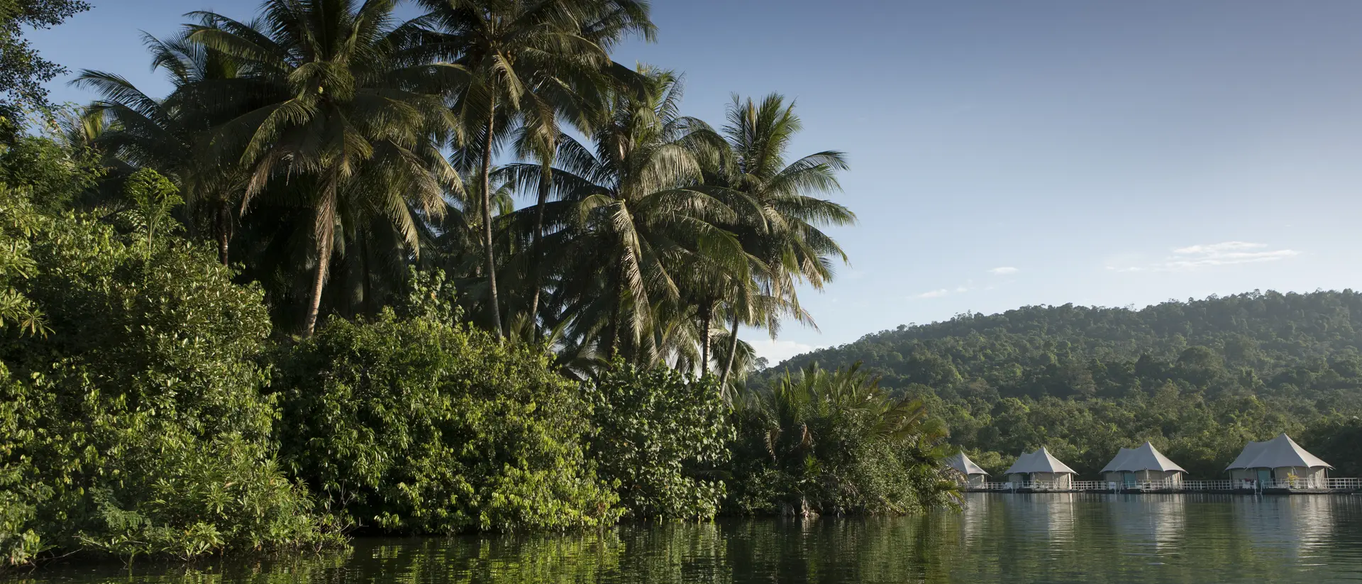 Lush riverside jungle in Koh Kong, Cambodia.