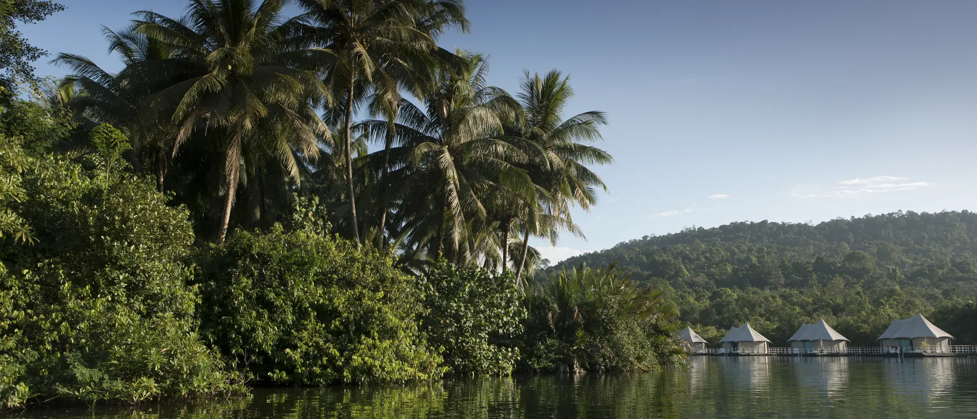 Lush riverside jungle in Koh Kong, Cambodia.