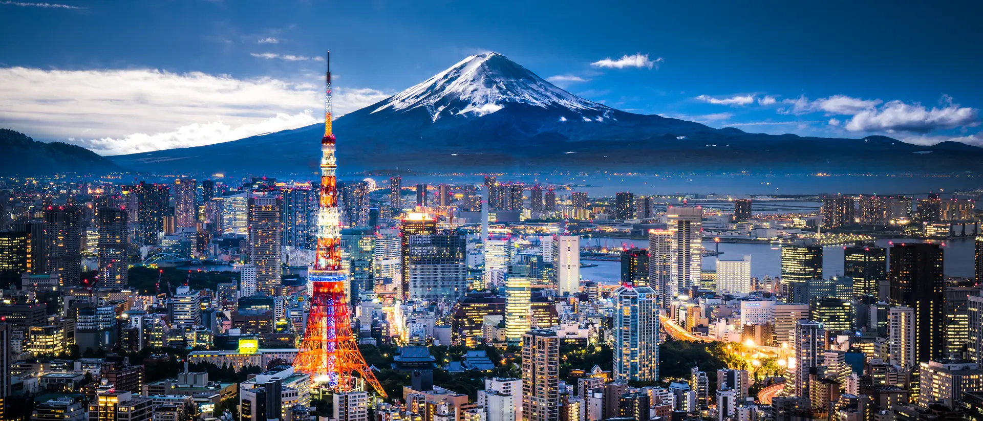 View of Mt. Fuji and Tokyo skyline at dusk.