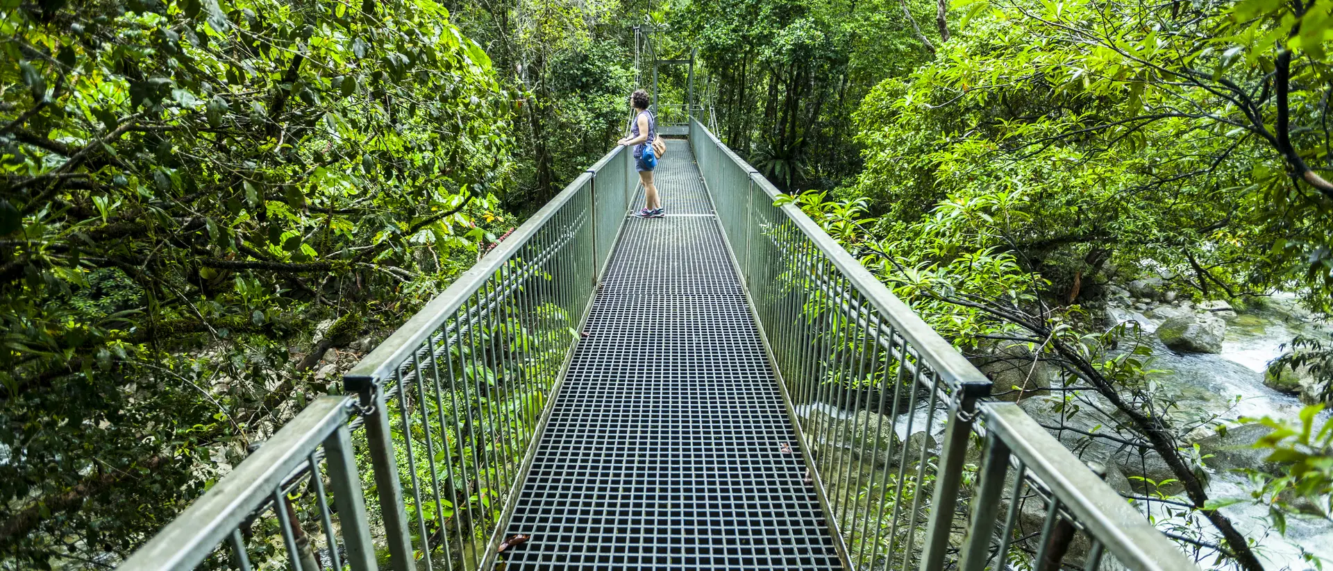 A Bridge with a person in the Daintree Rainforest.