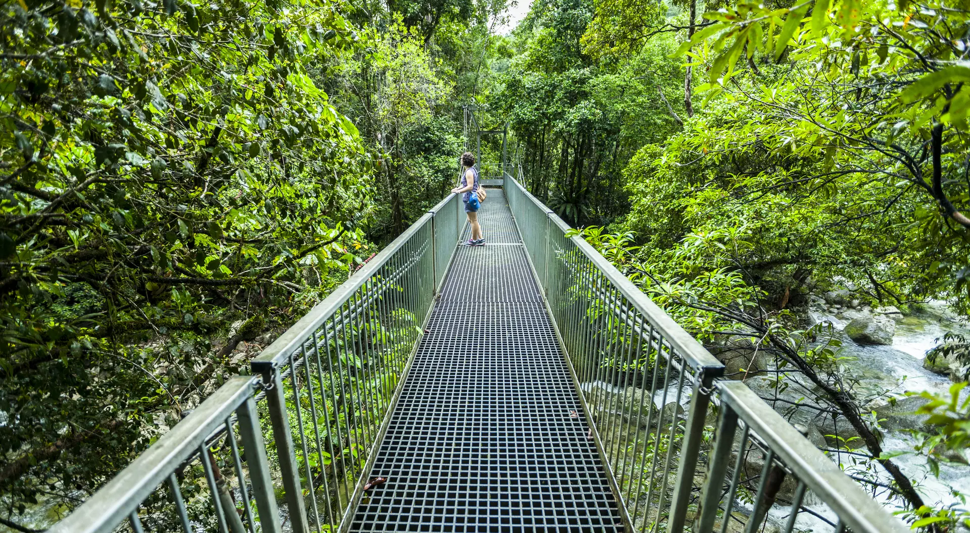 A Bridge with a person in the Daintree Rainforest.