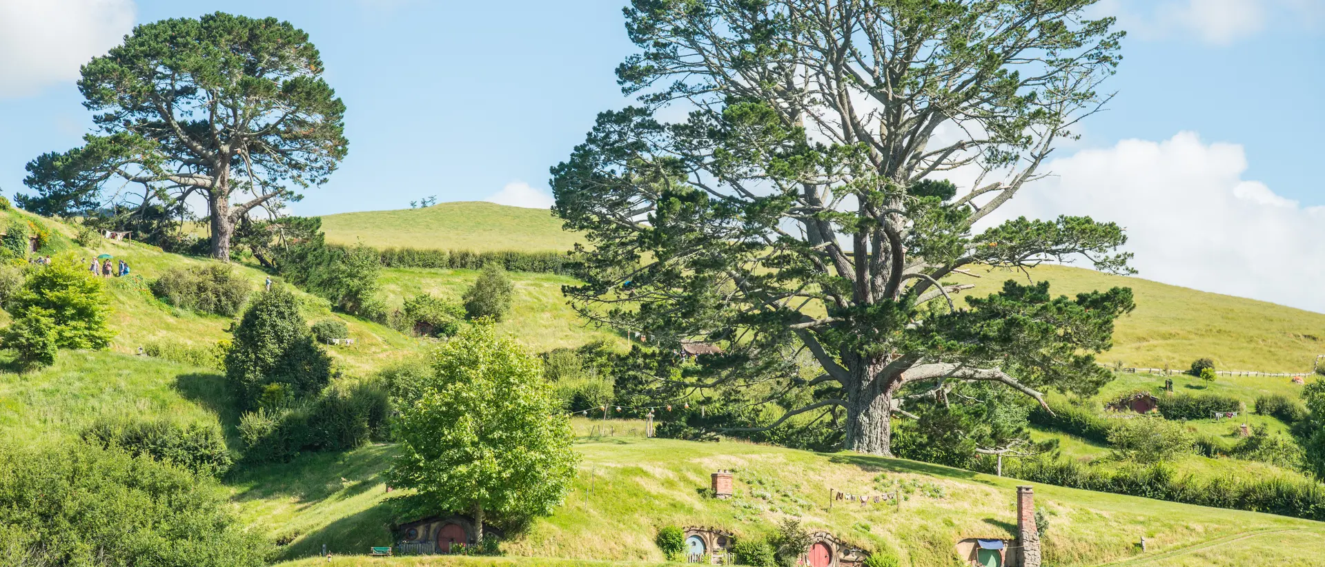 views of hobbit holes and the party tree along a lake