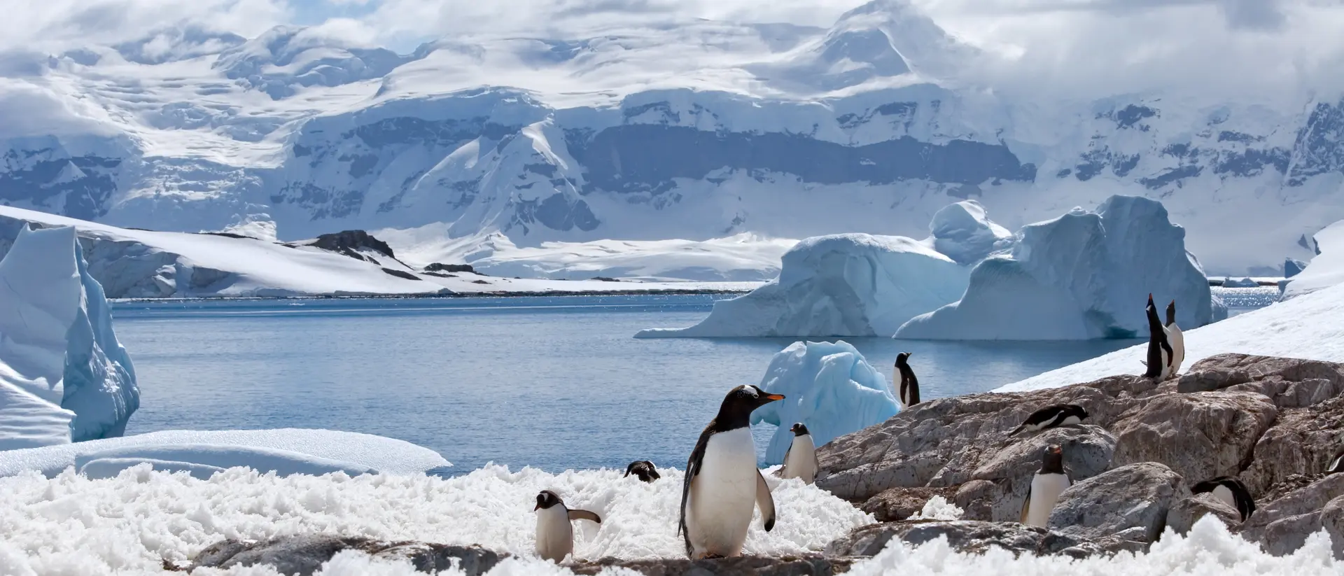 Antarctic peninsula