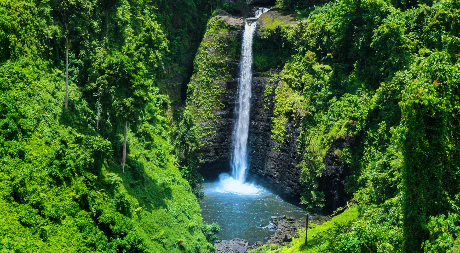 waterfall in a hidden jungle pool