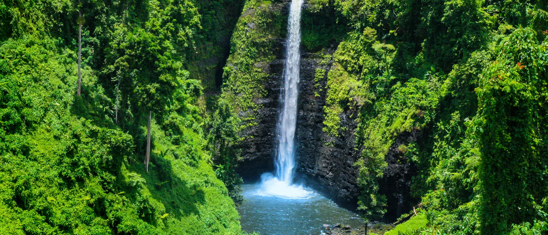 waterfall in a hidden jungle pool