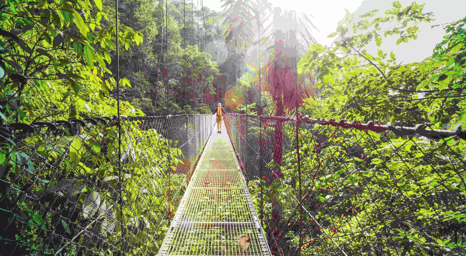 Hiking in green tropical jungle, Costa Rica, Central America