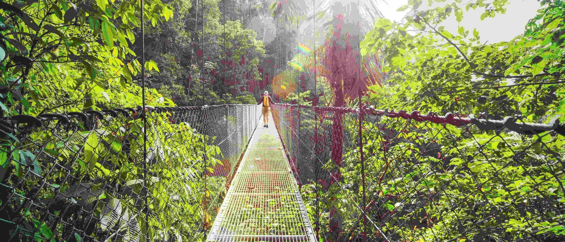 Hiking in green tropical jungle, Costa Rica, Central America