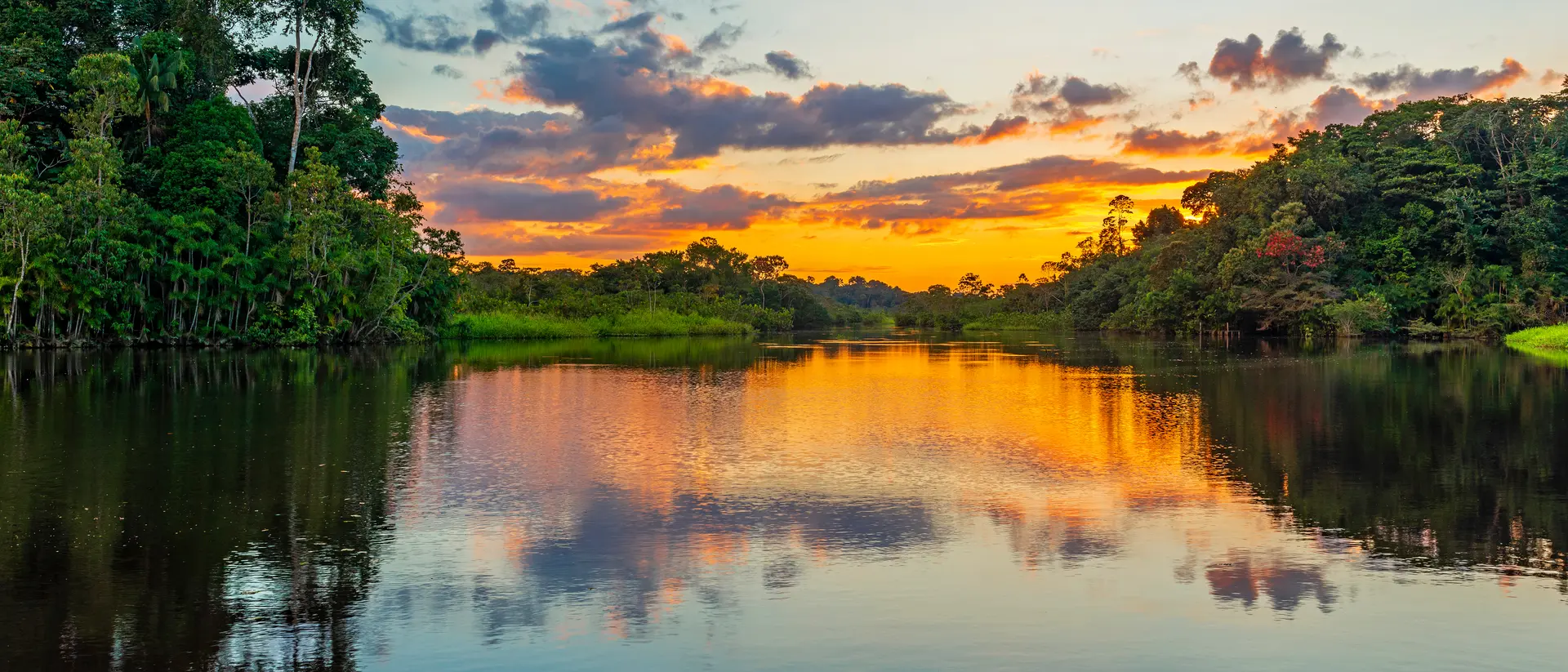 Reflection of a sunset by lagoon inside the Amazon Rainforest