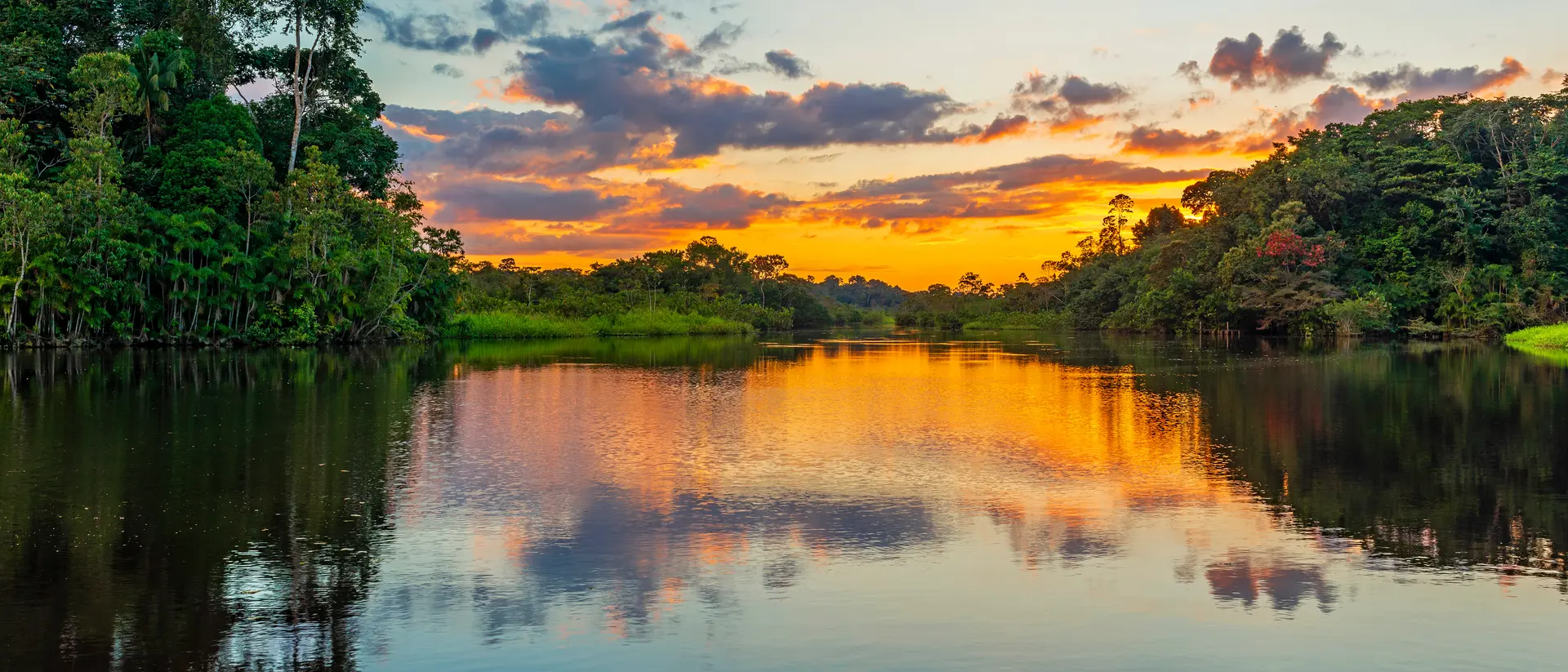 Reflection of a sunset by lagoon inside the Amazon Rainforest
