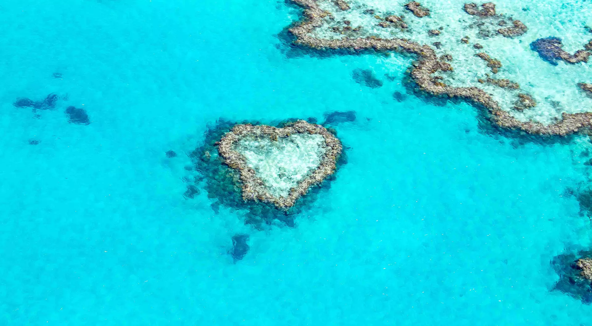 Heart Reef found in the Great Barrier Reef along the turquoise waters of the Whitsunday islands in Queensland Australia.
