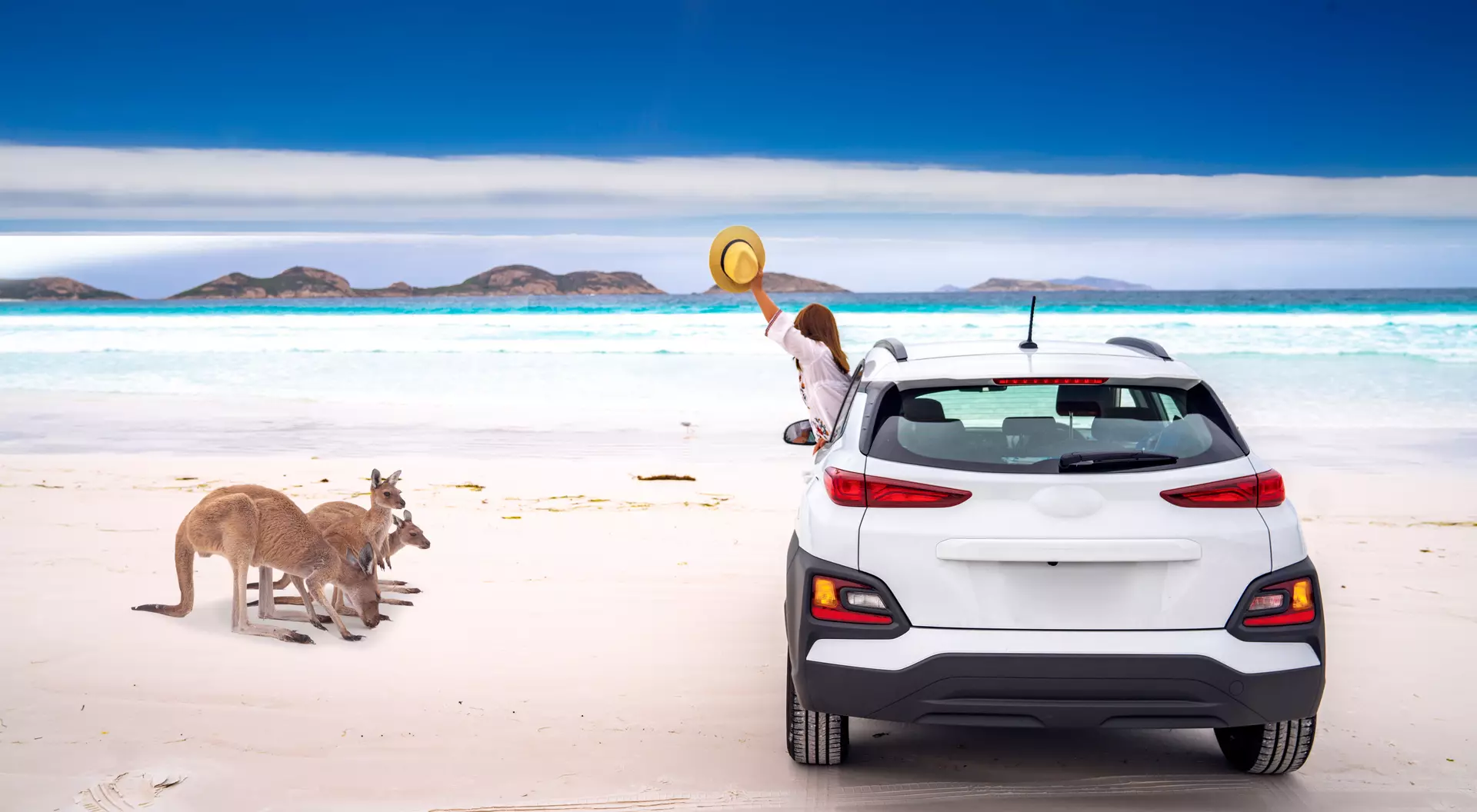 Kangaroo family at Lucky Bay beach in Cape Le Grand National Park near Esperance, Western Australia