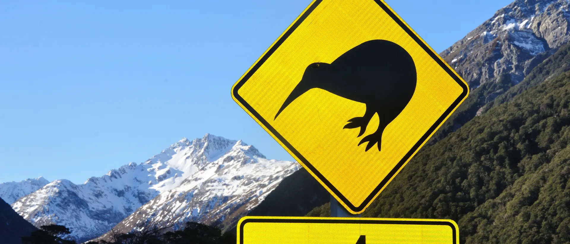 Road sign warning of kiwis near Arthurs Pass, South Island, New Zealand