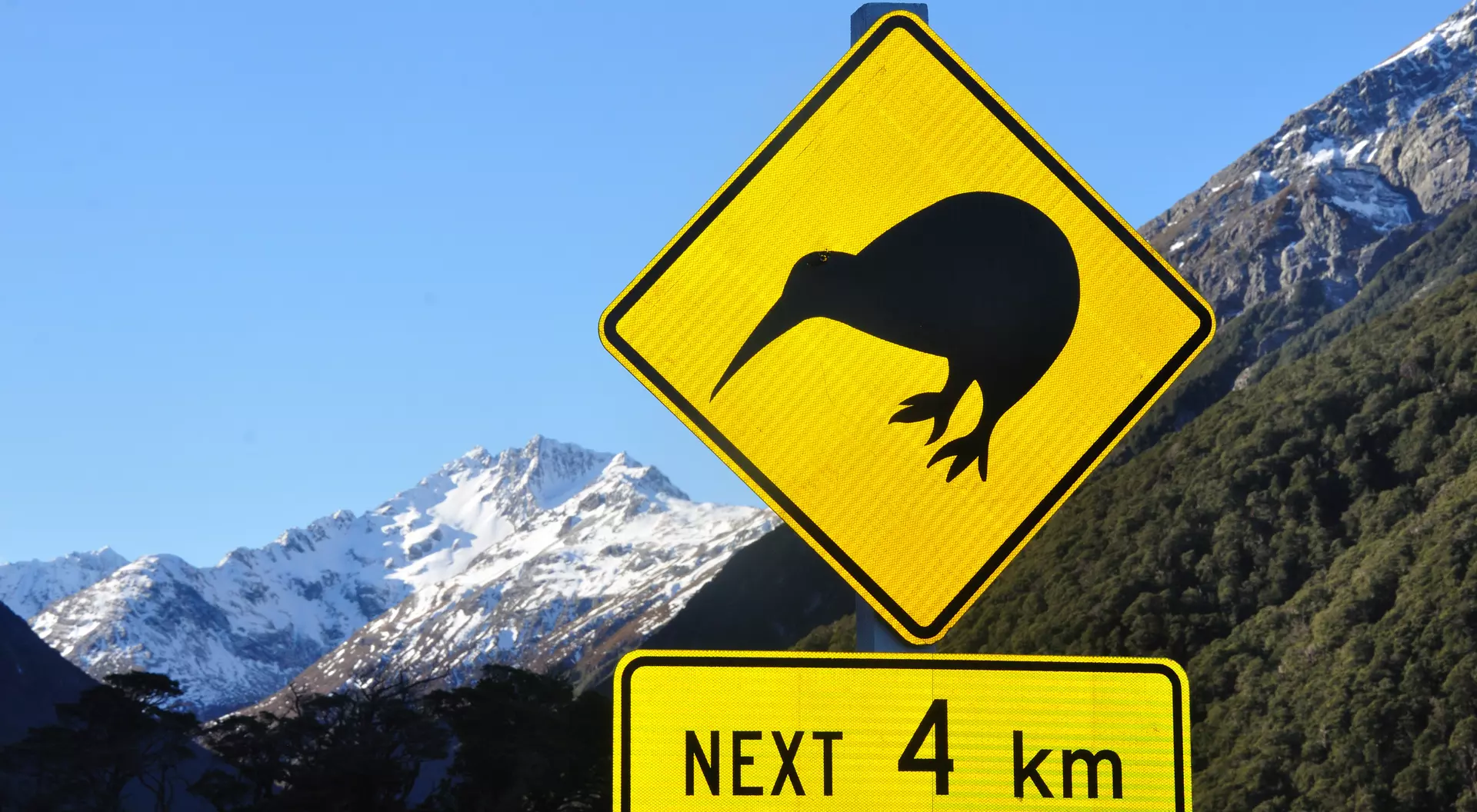 Road sign warning of kiwis near Arthurs Pass, South Island, New Zealand