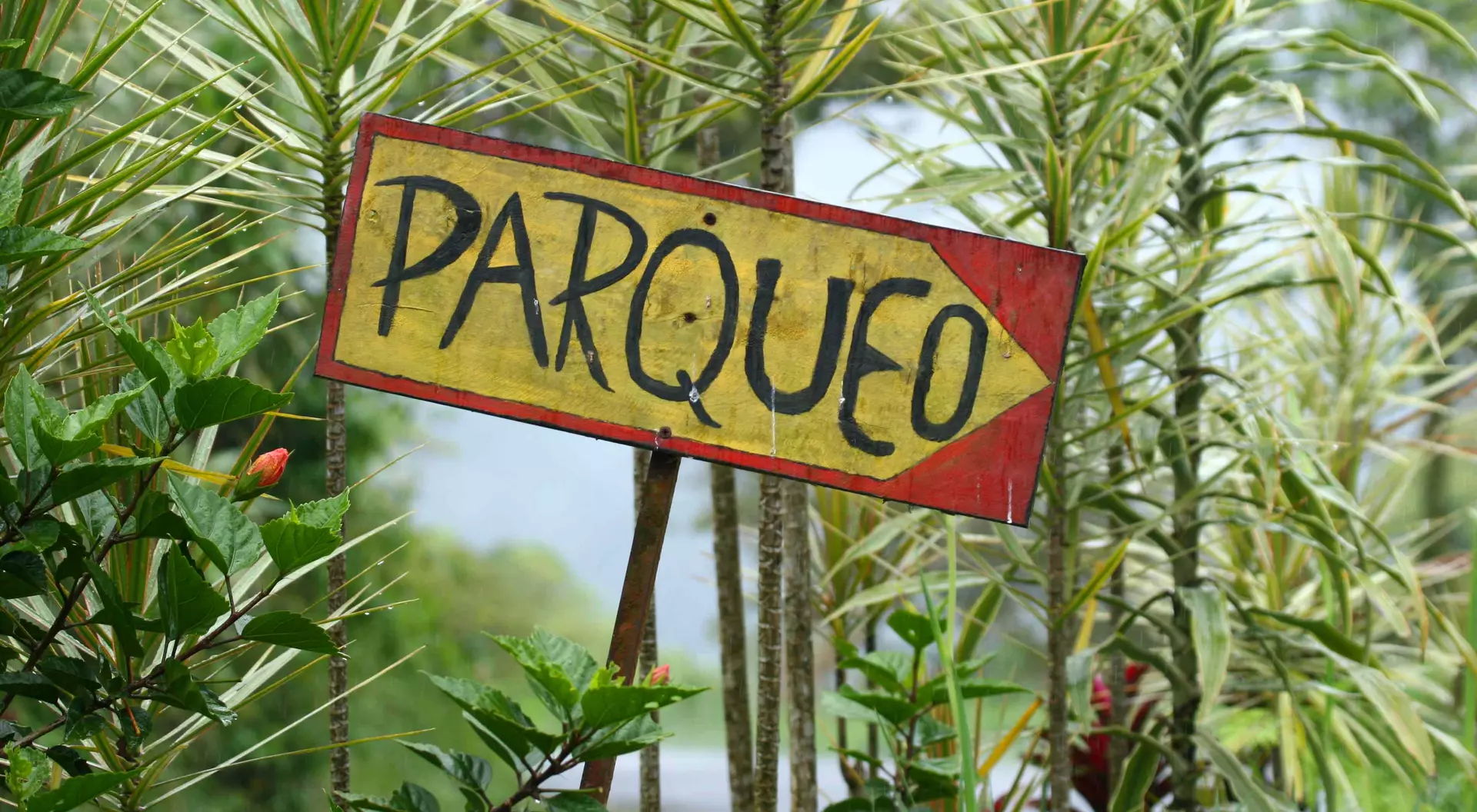 Parking sign in Spanish.