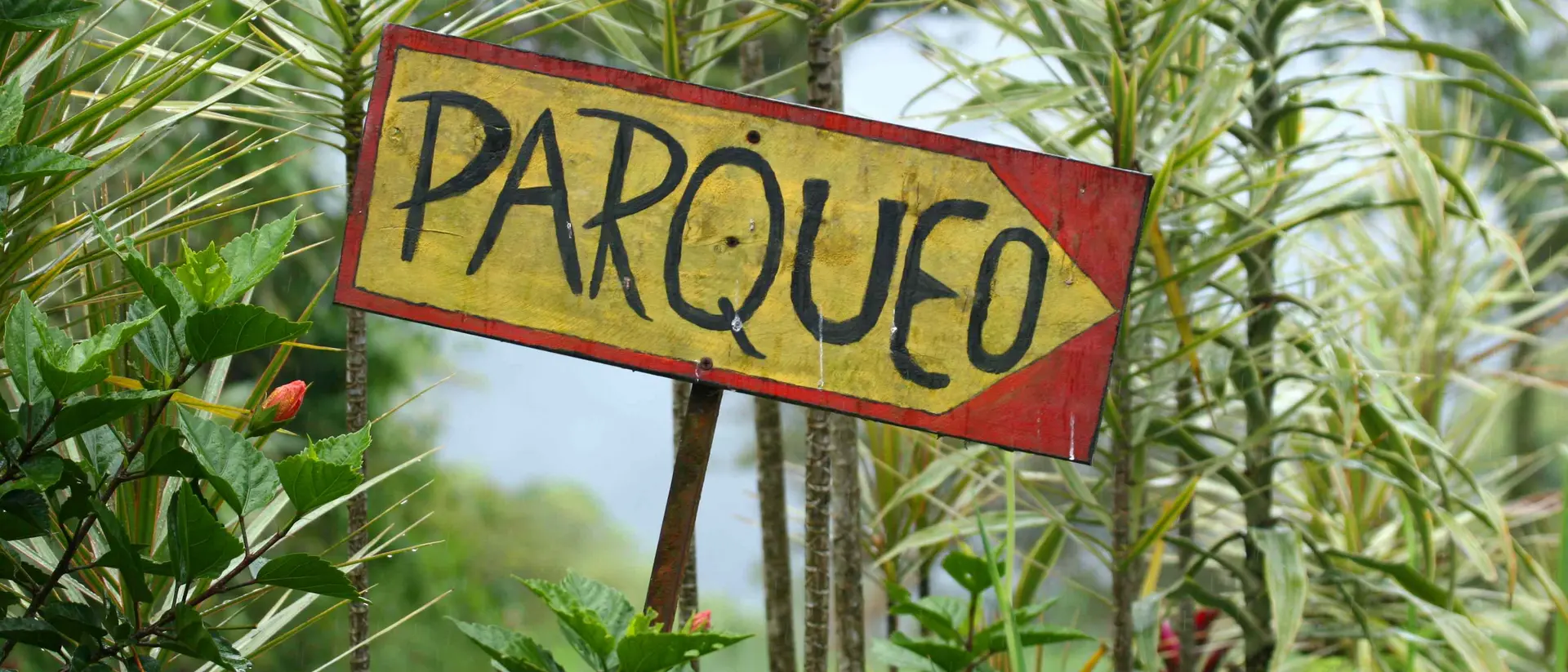 Parking sign in Spanish.