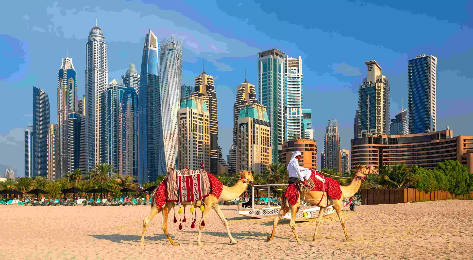 View of Dubai Marina, camels and famous Jumeirah beach in Dubai, United Arab Emirates.