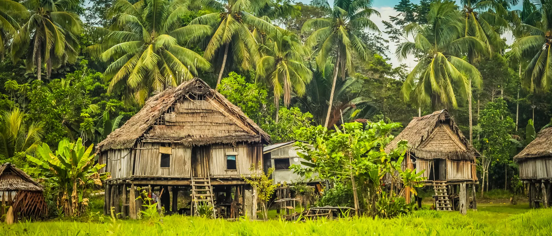 Simple houses made of straw, wood and bamboo in Papua New Guinea