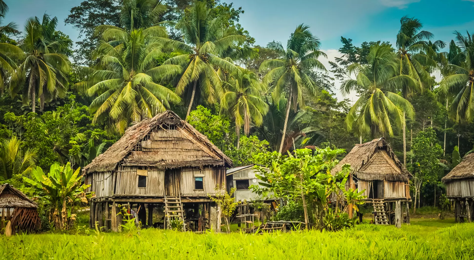 Simple houses made of straw, wood and bamboo in Papua New Guinea