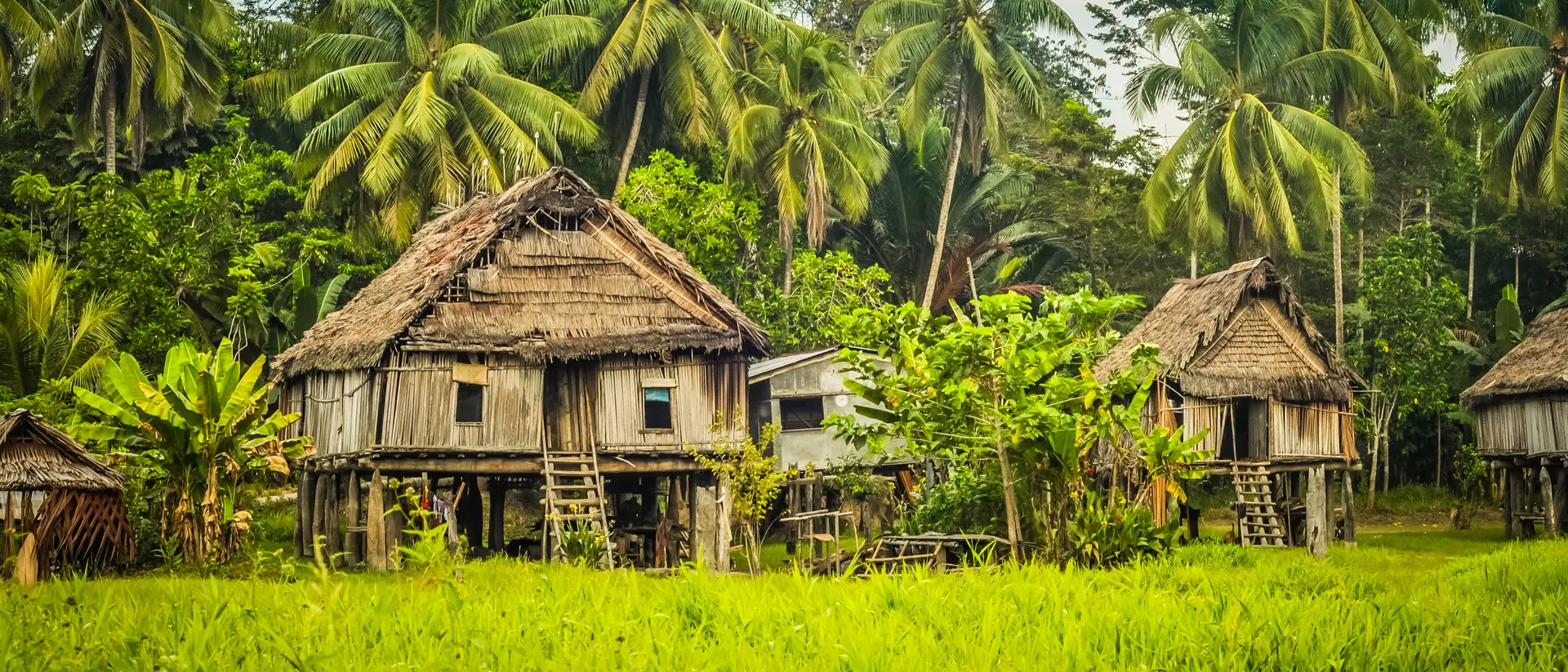 Simple houses made of straw, wood and bamboo in Papua New Guinea