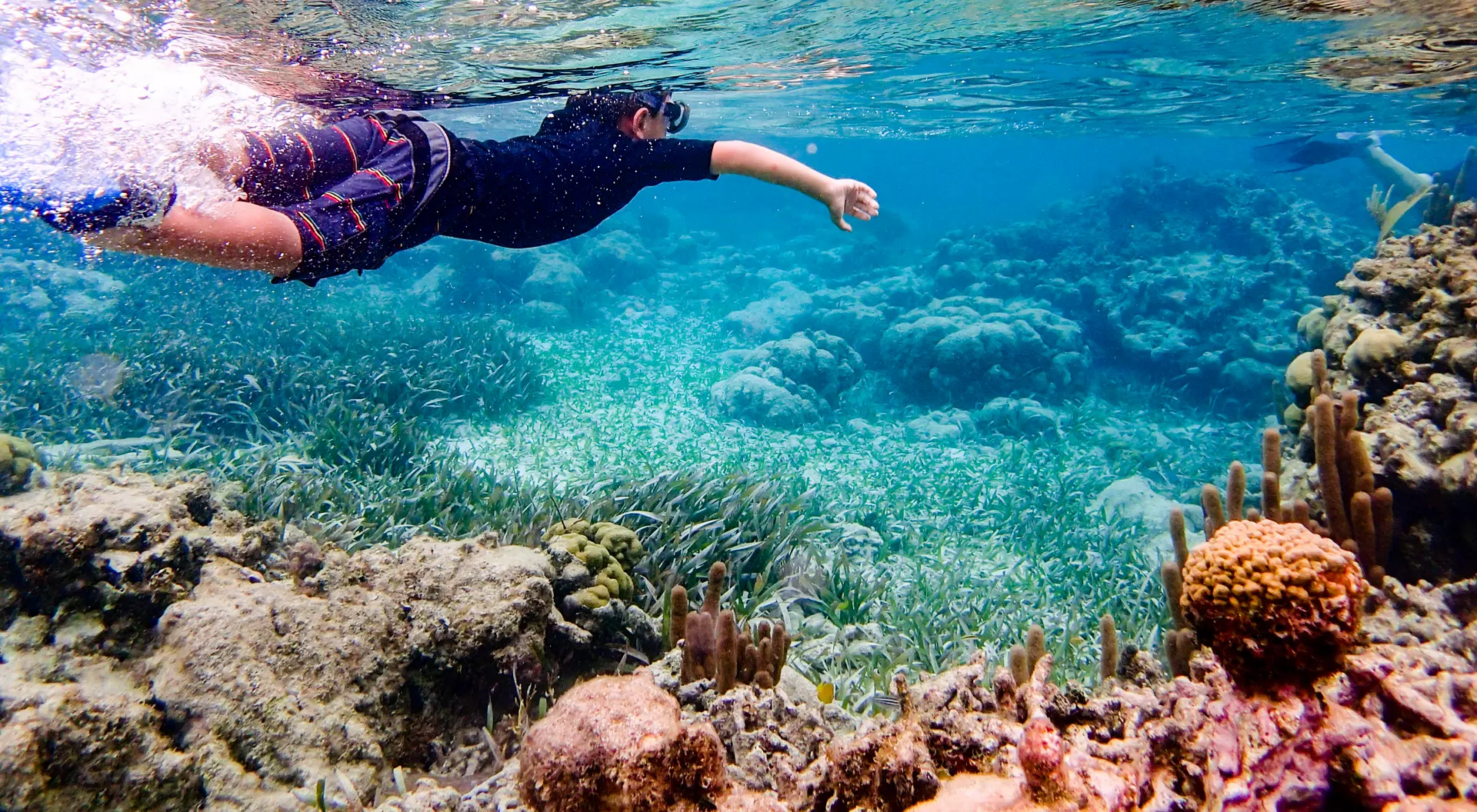 Snorkeling through coral reef near Ambergris Caye, Belize