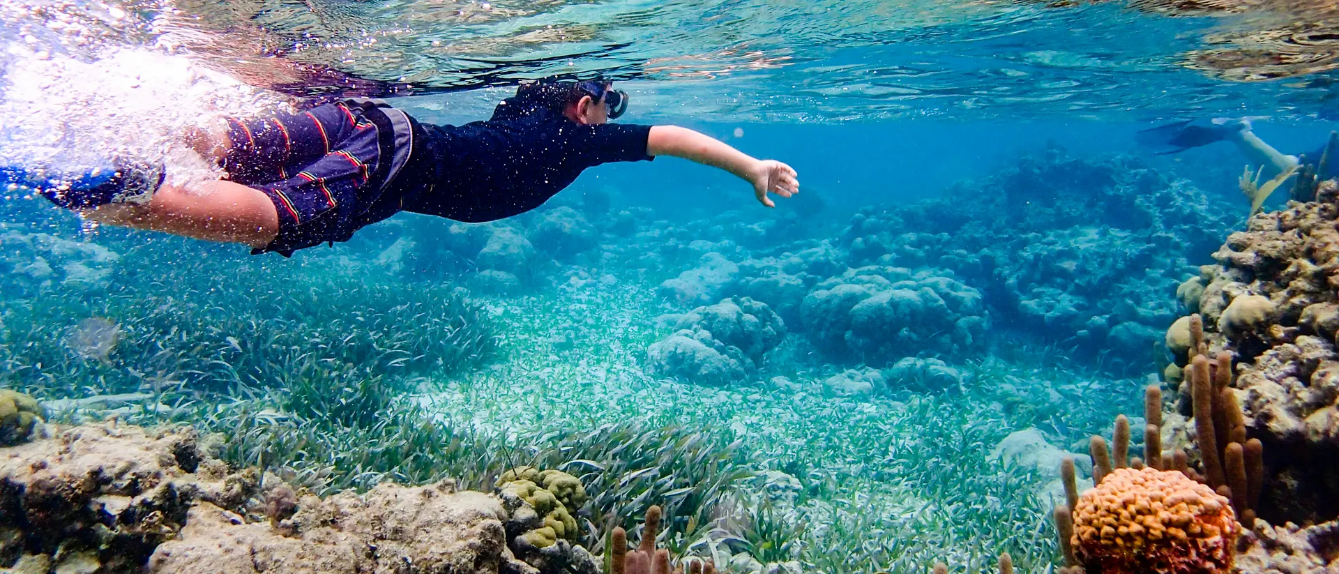 Snorkeling through coral reef near Ambergris Caye, Belize