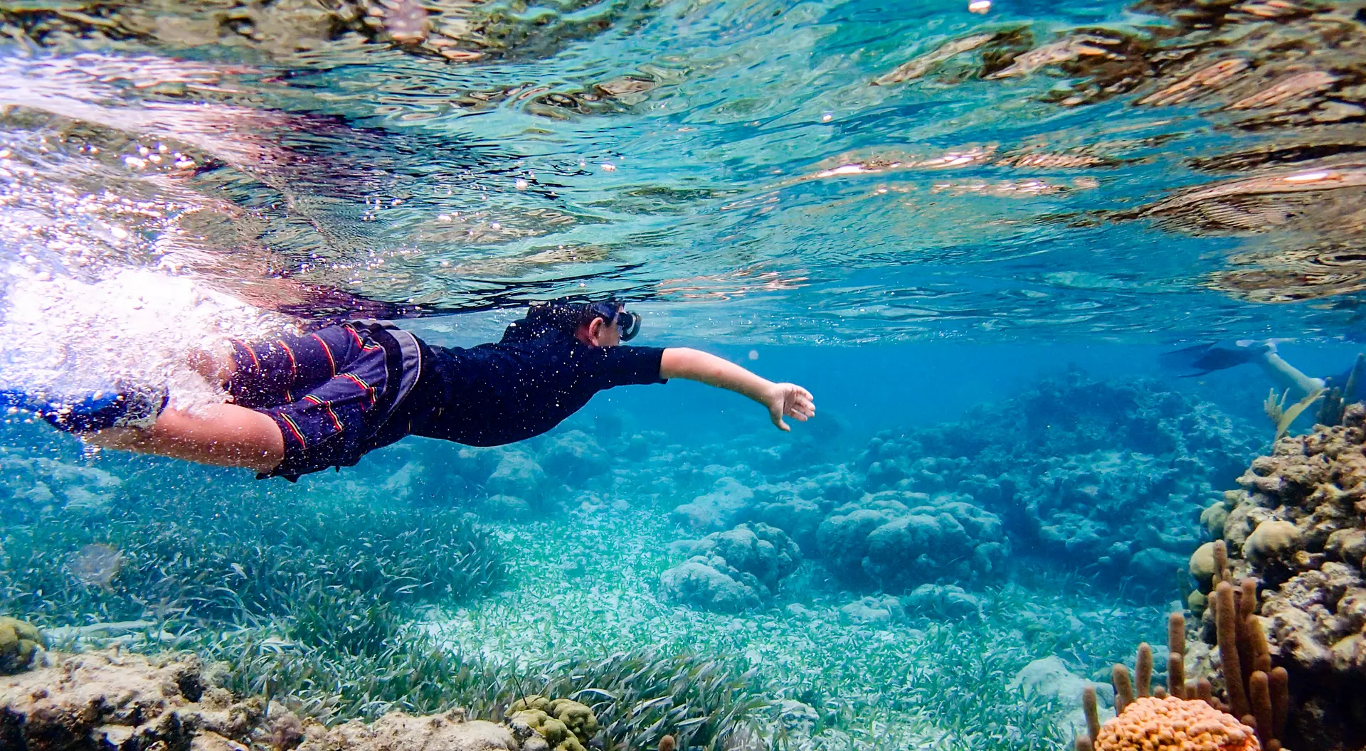 Snorkeling through coral reef near Ambergris Caye, Belize