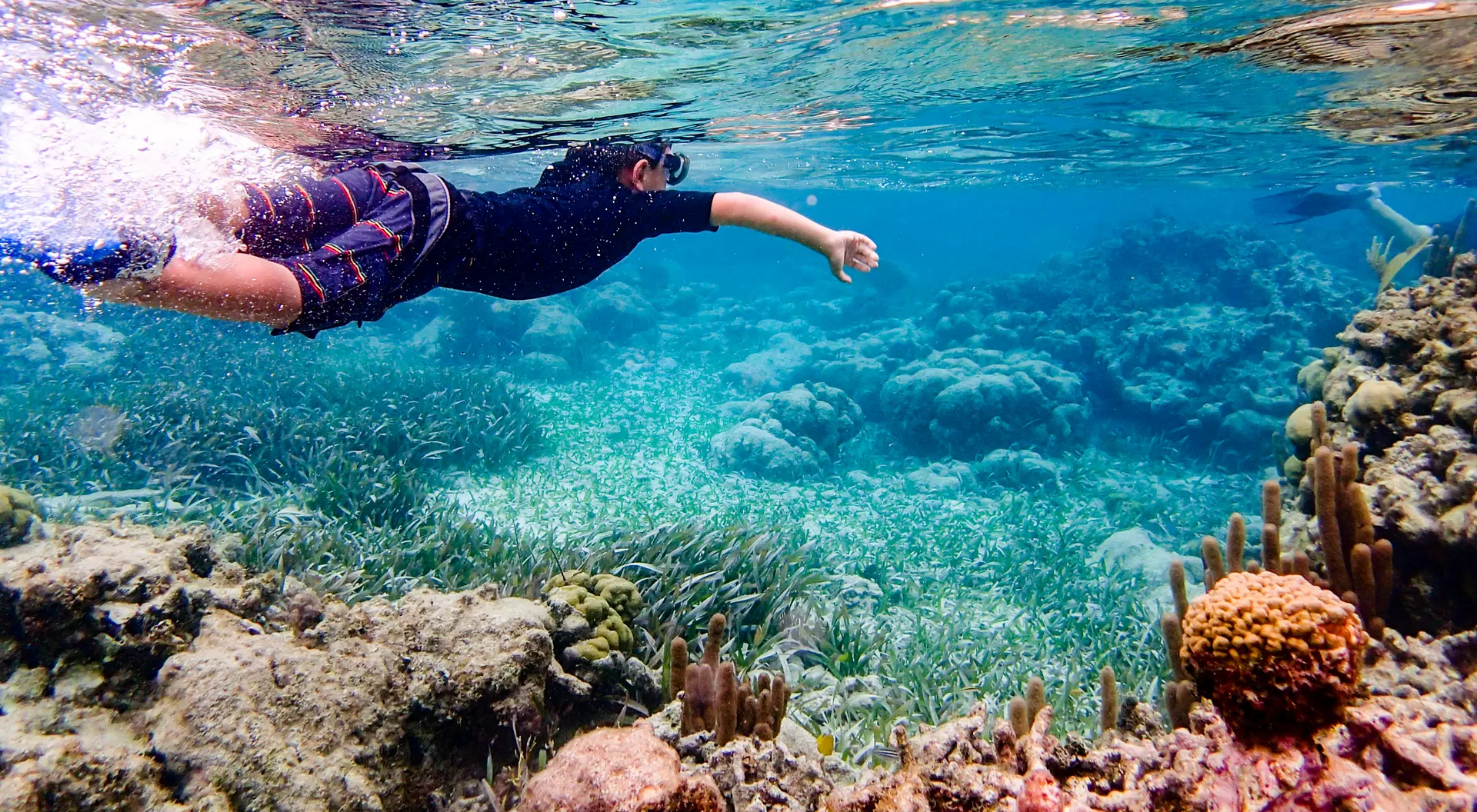 Snorkeling through coral reef near Ambergris Caye, Belize
