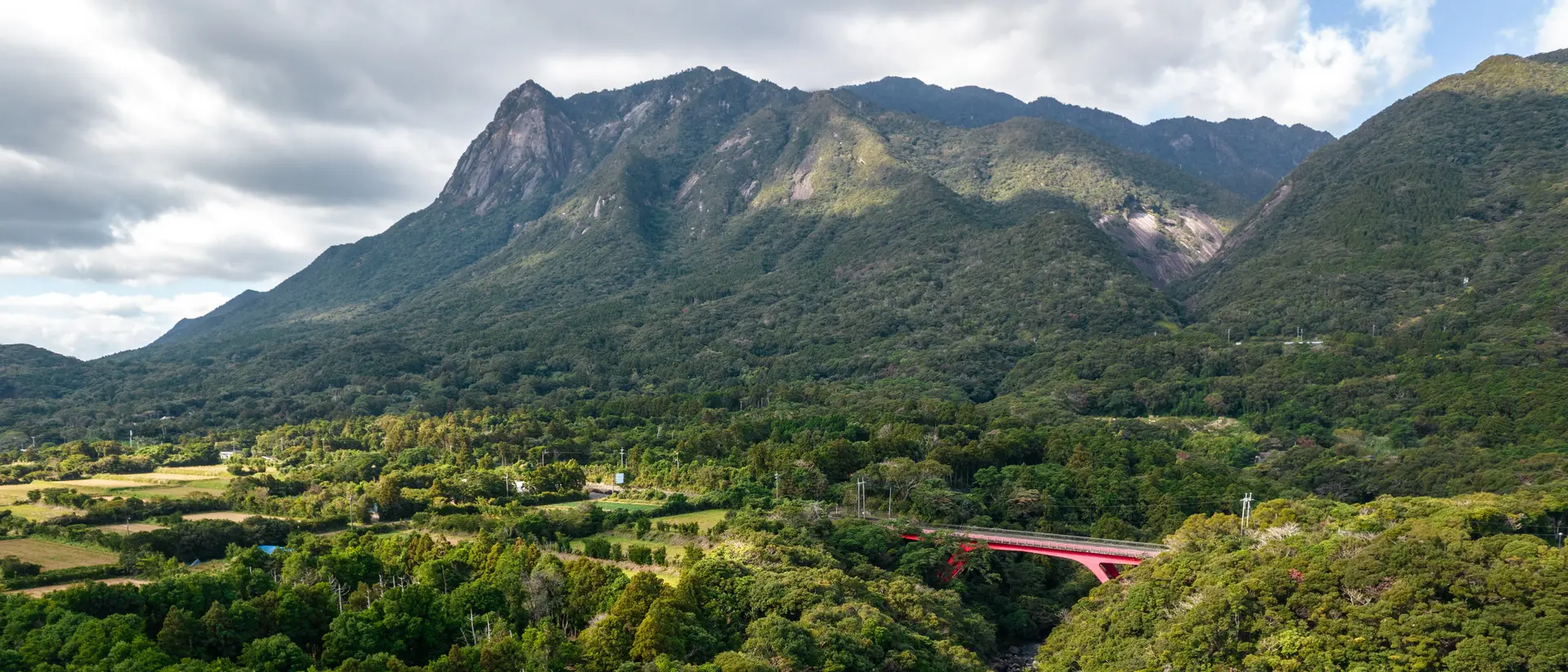 Yakushima Island