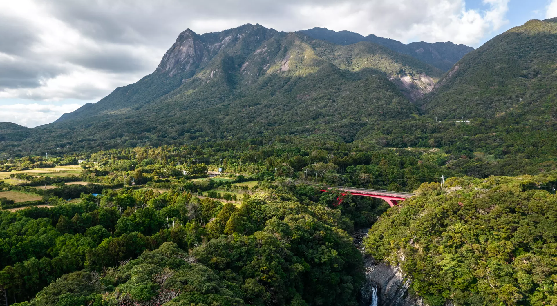 Yakushima Island