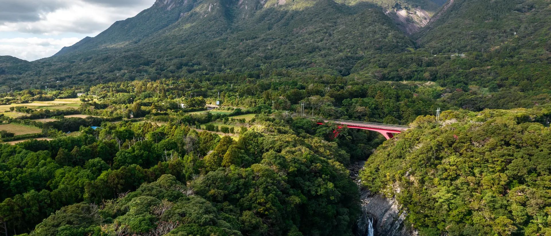Yakushima Island