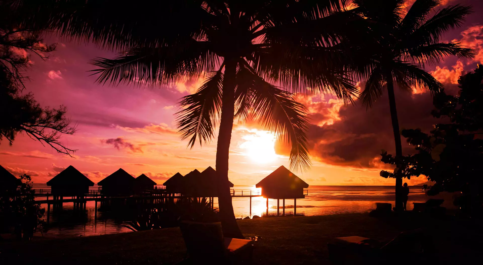 sunset of overwater bungalows and palm trees on beach