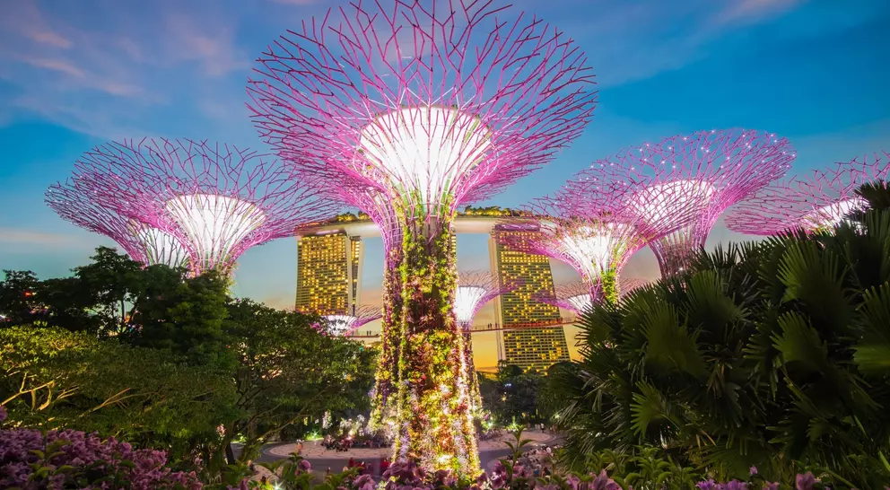 Lit up large vertical garden sculptures resembling towering trees, coined Supertree Grove