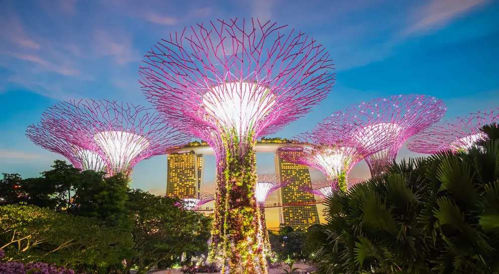 Lit up large vertical garden sculptures resembling towering trees, coined Supertree Grove