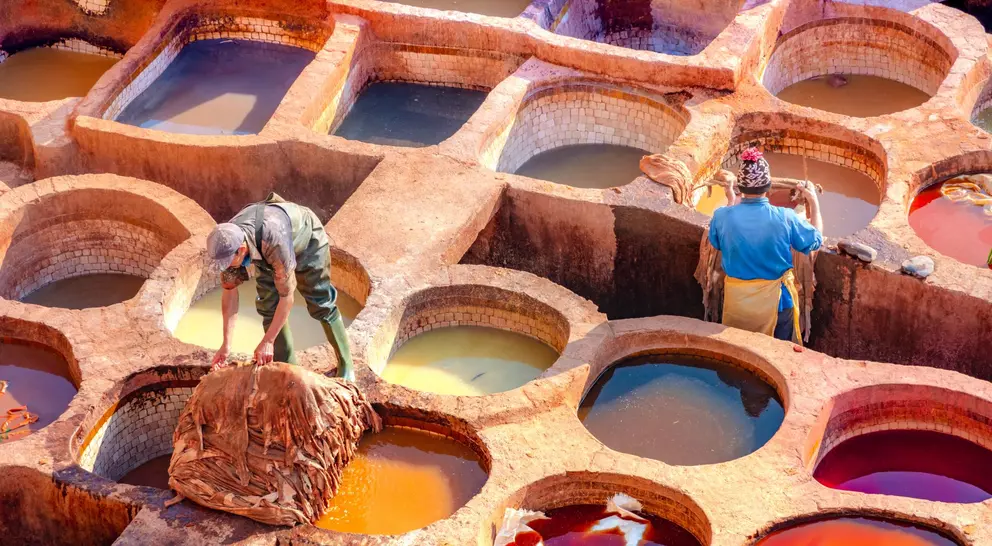 Leather dying in a traditional tannery in the city of Fez, Morocco