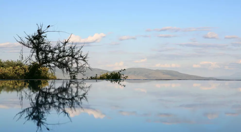 Tree and sky reflecting in flat waters of lake