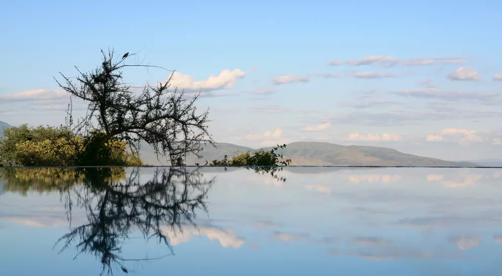 Tree and sky reflecting in flat waters of lake