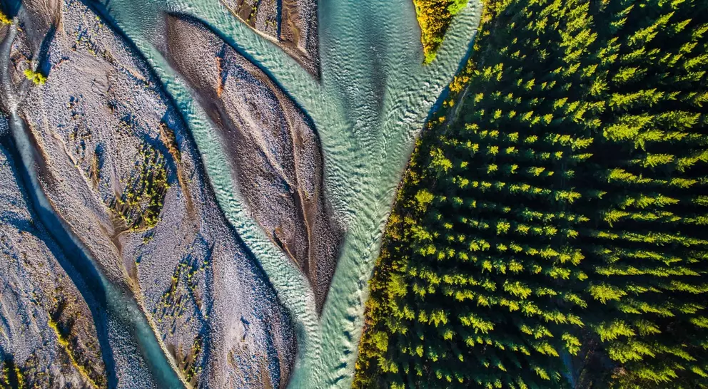 Aerial view where the river meets the forest, Wairau Valley, Wairau River, Marlborough, South Island, New Zealand.